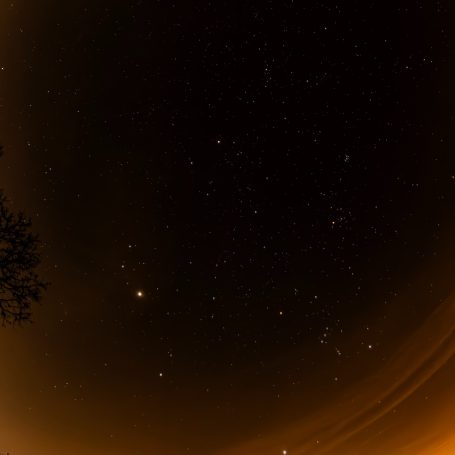 Sternenhimmel mit leuchtenden Sternen und einer Baumsilhouette im Vordergrund.
