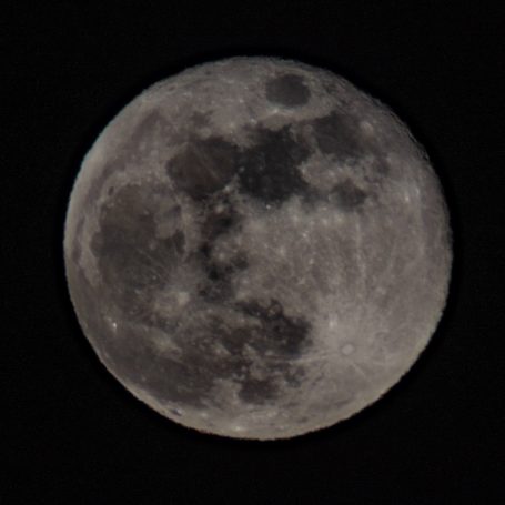 Vollmond am Nachthimmel, klar und detailliert mit sichtbaren Kratern.